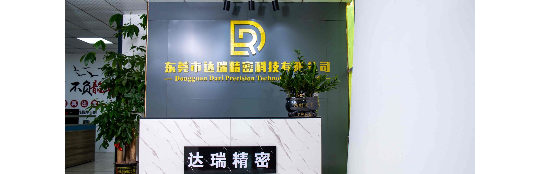 플라스틱 금형, 사출 성형, 플라스틱 셸,Dongguan Darui Precision Technology Co., Ltd.